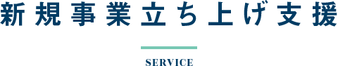 新規事業立ち上げ支援